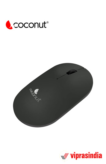Wireless Mouse Coconut  WM21 Fame