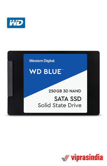 SSD WD Blue 250 GB Internal SATA